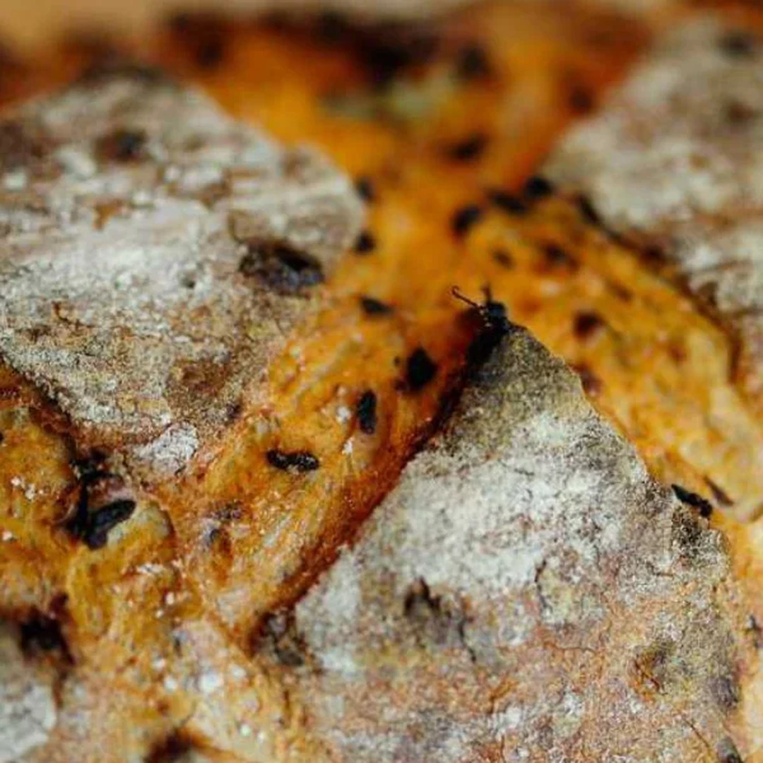 Zwiebelbrot imagine mare